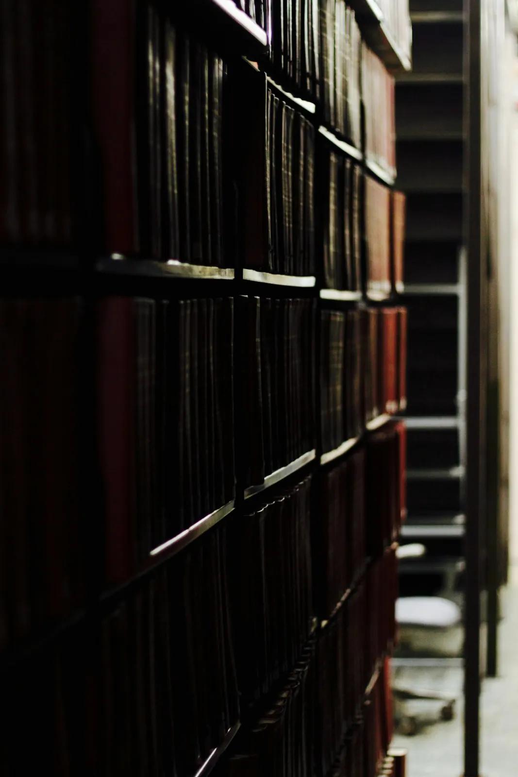 Rayonnages de vieux livres reliés